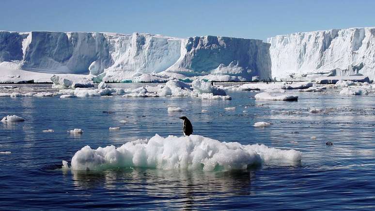 O aquecimento da Península Antártica está mudando o ambiente na Antártida