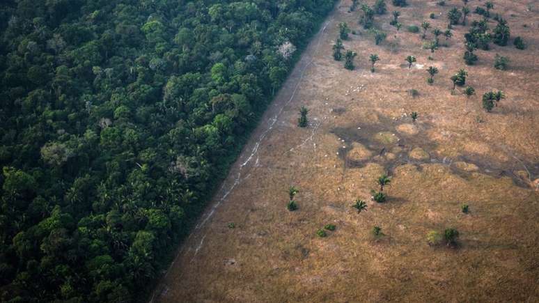 Taxa de desmatamento na Amazônia subiu nos últimos três anos