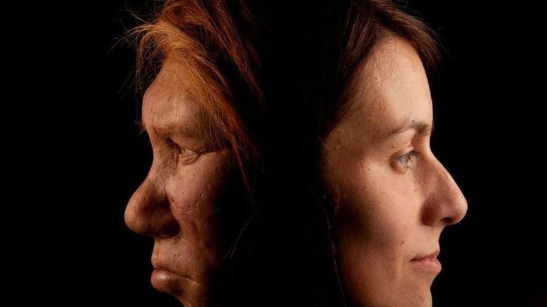 O sexo com o Homo sapiens pode ter causado a extinção dos neandertais