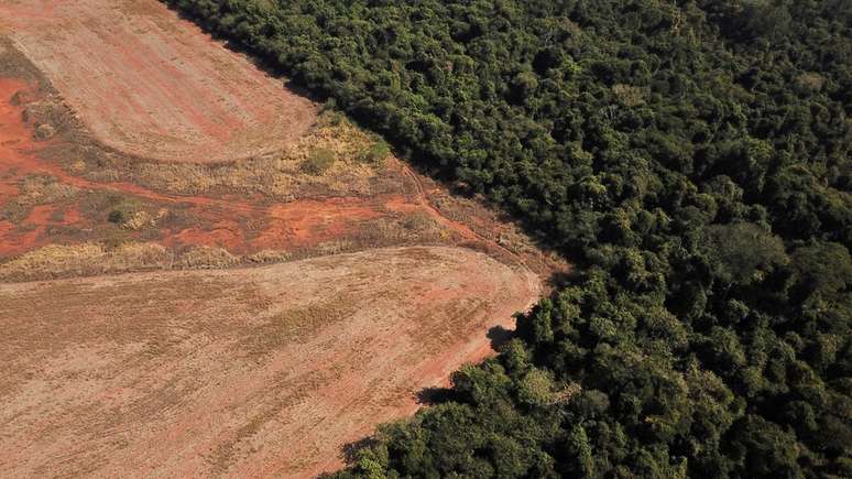 Nos últimos três anos, o Brasil registrou o pior desmatamento em 15 anos, o maior número de focos de incêndios em 10 anos e a maior taxa de emissão de gases poluentes em 16 anos.