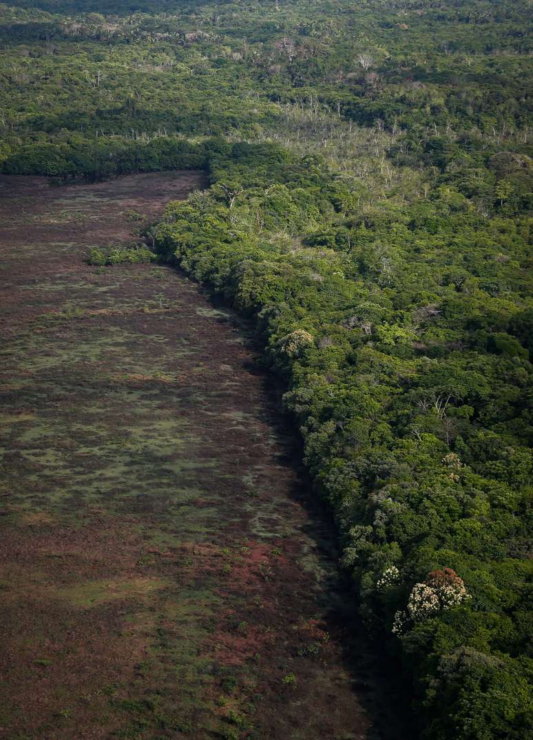 O presidente eleito, Luiz Inácio Lula da Silva, disse que o Brasil "está de volta e pronto para retomar o protagonismo na luta contra a crise climática"
