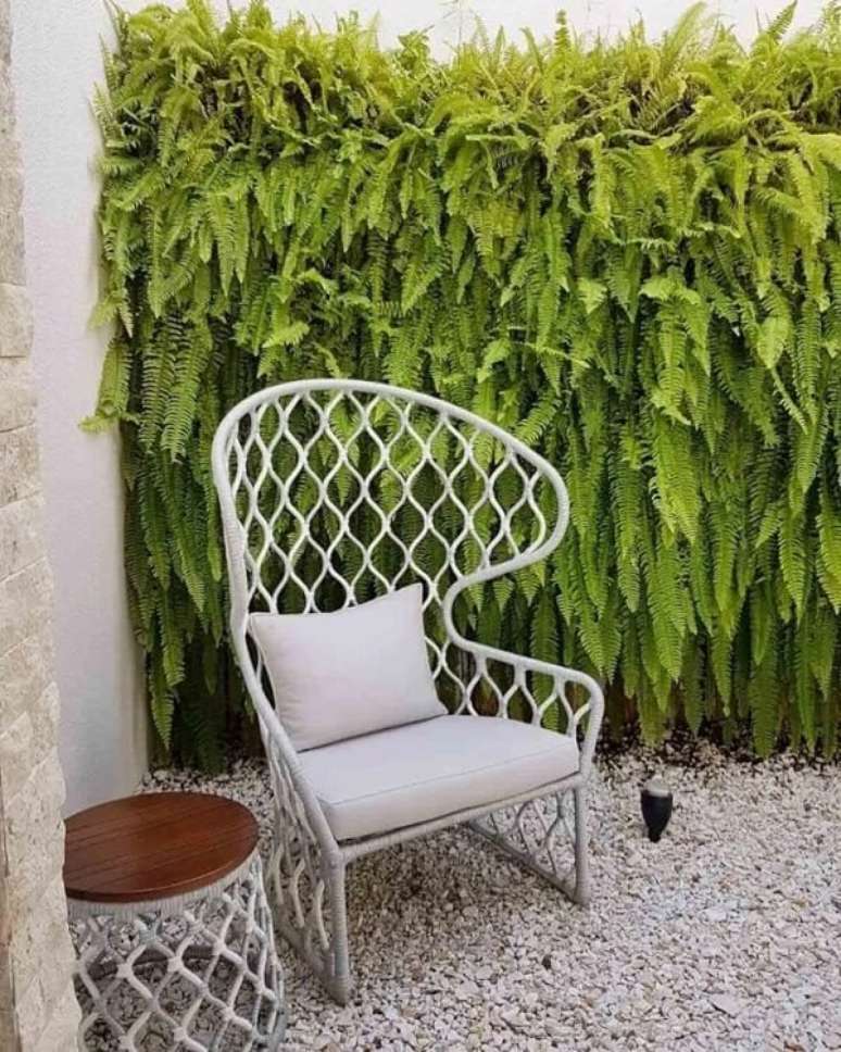 12. Jardim vertical com samambaias decoram o projeto de apartamento garden pequeno. Fonte &ndash; Monique Pereira