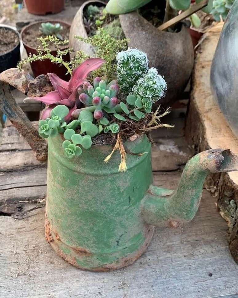 87. Enfeites para jardim: o regador antigo serve de recipientes para suculentas. Fonte – Estalagem Suculentas