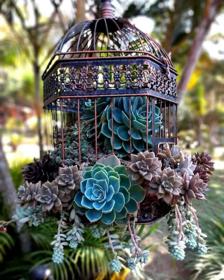 95. As gaiolas se tornam lindo enfeites para jardim. Fonte – Estalagem Suculentas