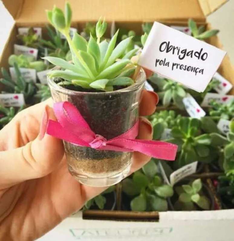 36- Os copinhos com suculentas plantadas s&atilde;o &oacute;timas op&ccedil;&otilde;es de lembrancinha de ch&aacute; de casa nova. Fonte: Muito Chique