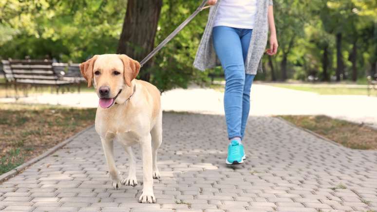 Caminhada beneficios saude