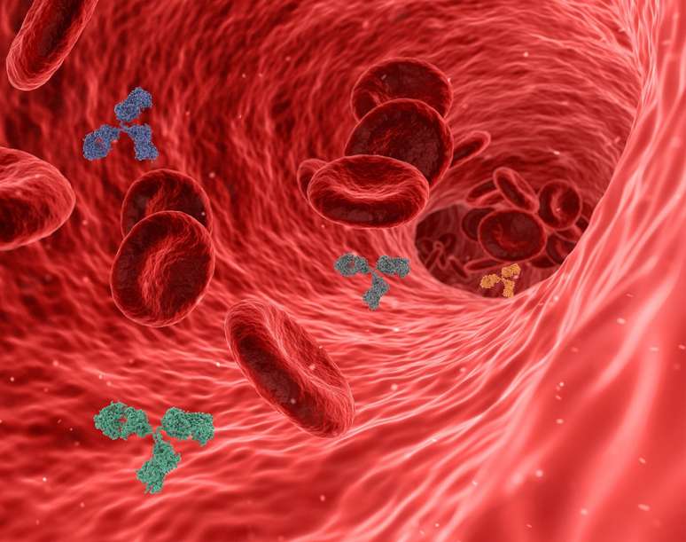 Algumas variantes, particularmente a ômicron, evitam os anticorpos neutralizantes e causam infecções sintomáticas mesmo em pessoas vacinadas ou convalescente