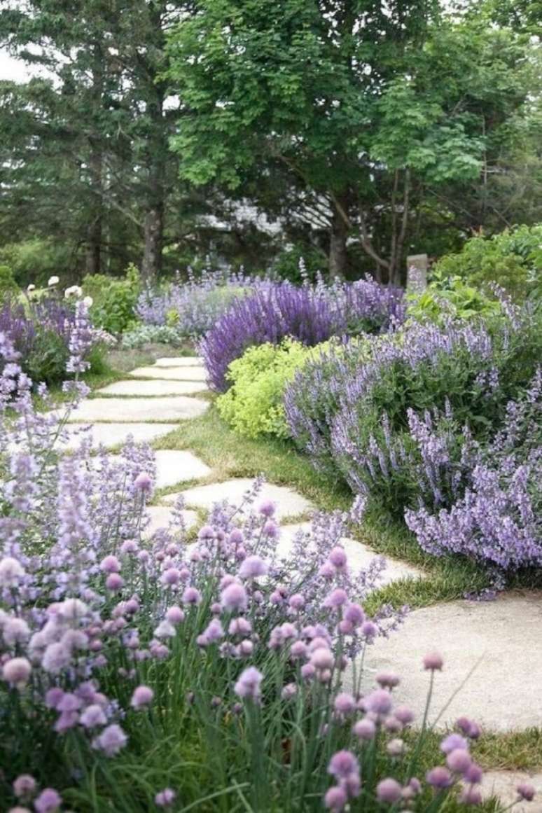 7. Jardim com plantacao de lavanda &ndash; Foto Sehr Antonio