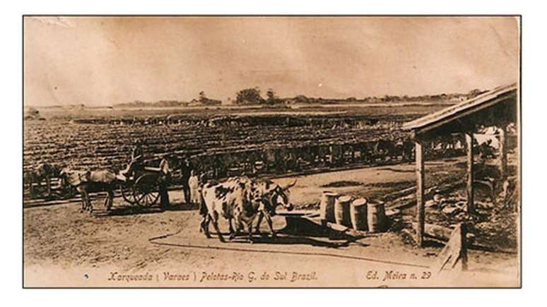 Imagem de charqueada em Pelotas; pioneiro dessa atividade foi Jos&eacute; Pinto Martins, vindo do Cear&aacute;