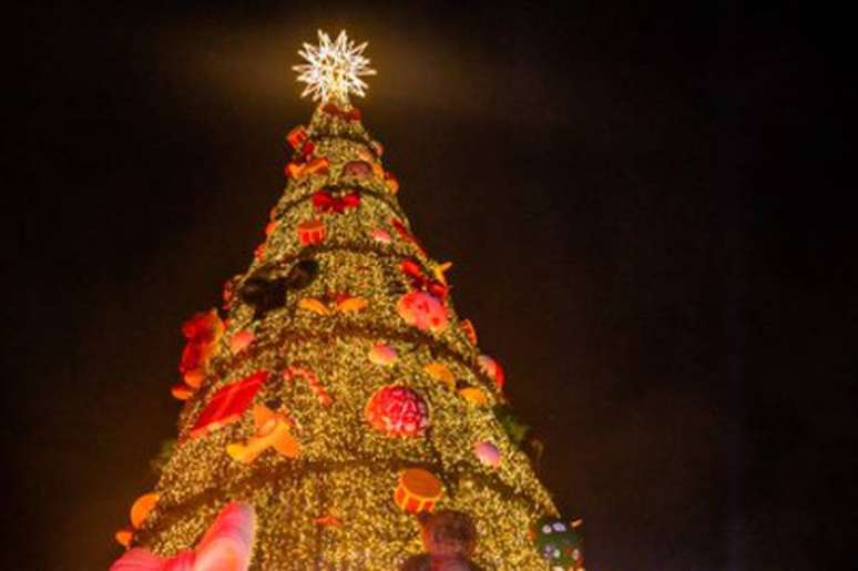 Árvore de Natal de São Paulo é inaugurada no Parque Villa-Lobos.