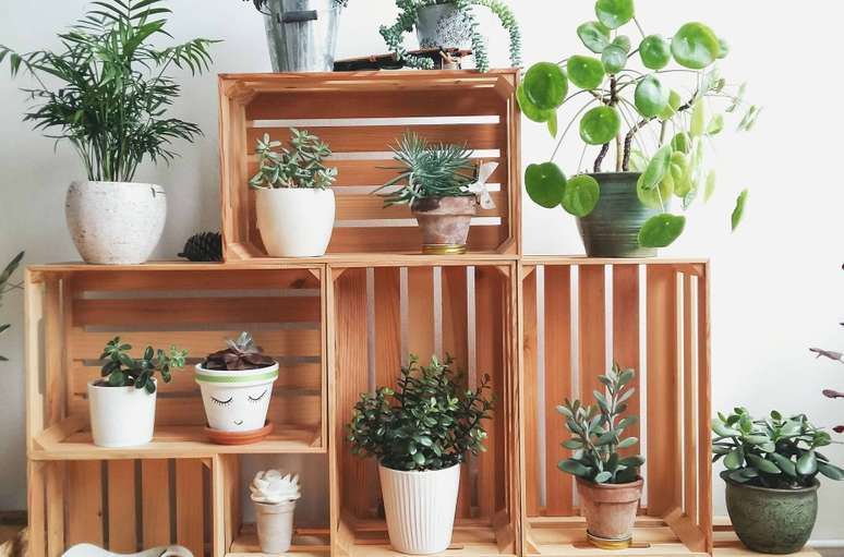 Assim como as caixas de vinho, caixas de madeira (como as de feira), pallets e estrados de cama podem ser reaproveitados como apoio para os vasos de plantas.