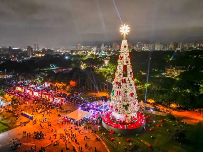 A árvore de Natal conta ainda com uma estrela brilhante no topo e decoração que remete às raízes e tradições natalinas.