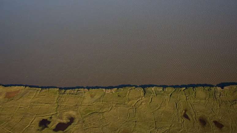 Os leitos de ossos de Liscomb, encontrados ao longo do rio Colville, no Alasca, revelaram mais dinossauros do &Aacute;rtico do que qualquer outro lugar do hemisf&eacute;rio norte