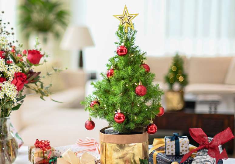 Árvore de Natal Decorada 2024: Ideias Criativas e Fáceis