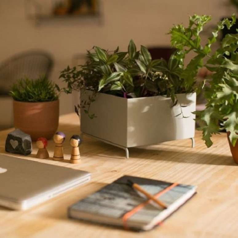 8. Cachepot para plantas decorativas de mesa &ndash; Foto Od Ferreiros