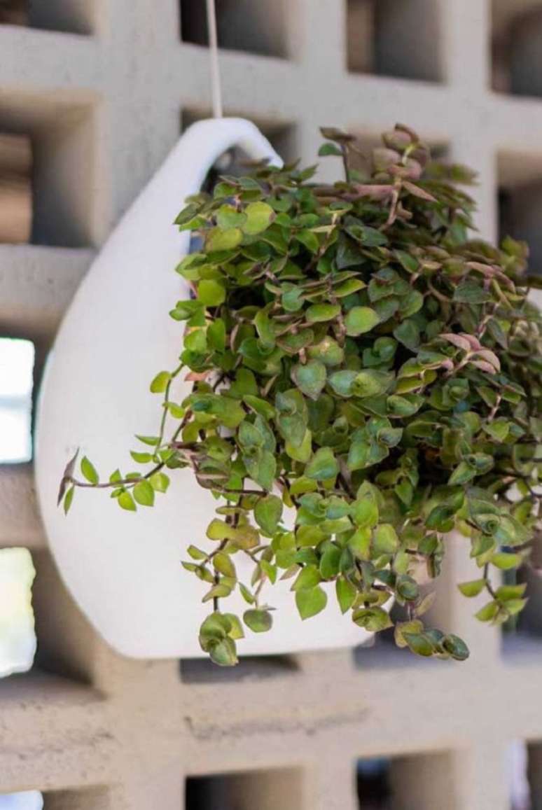 35. Vaso suspenso com planta dinheiro em penca &ndash; Foto Decor Facil