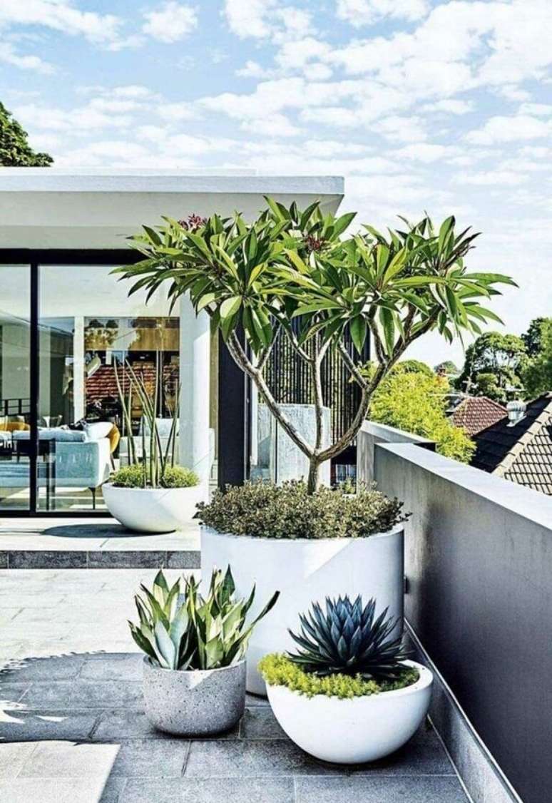 4. Vasos de plantas na decora&ccedil;&atilde;o de casa com terra&ccedil;o &ndash; Foto Terrarios e Suculentas