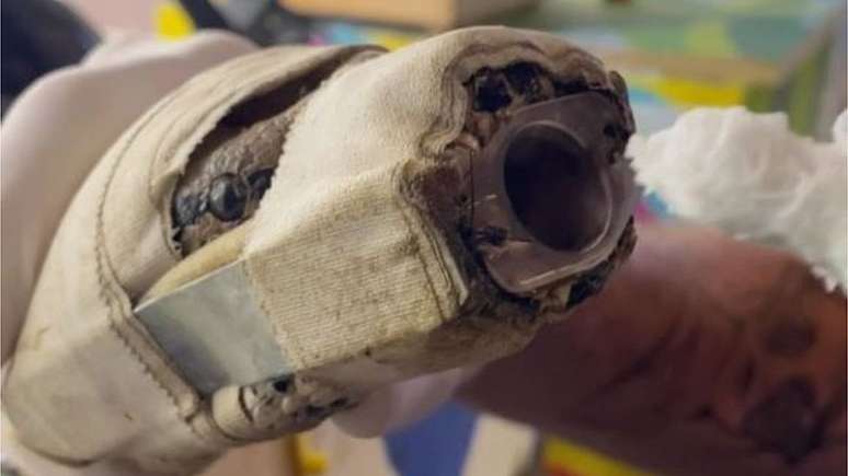 Jiboia teve mand&iacute;bula imobilizada ap&oacute;s agress&atilde;o