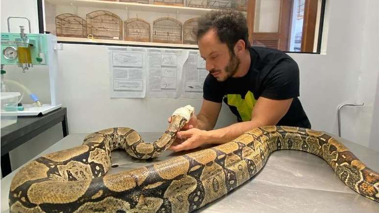 'Santinha' foi tratada pelo Instituto Vida Livre, de Roched Seba