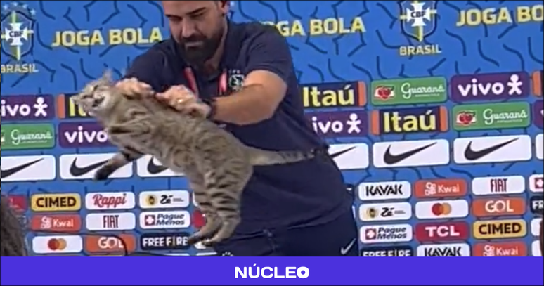 r transmite ao vivo vídeo no qual espanca gato de estimação – Metro  World News Brasil