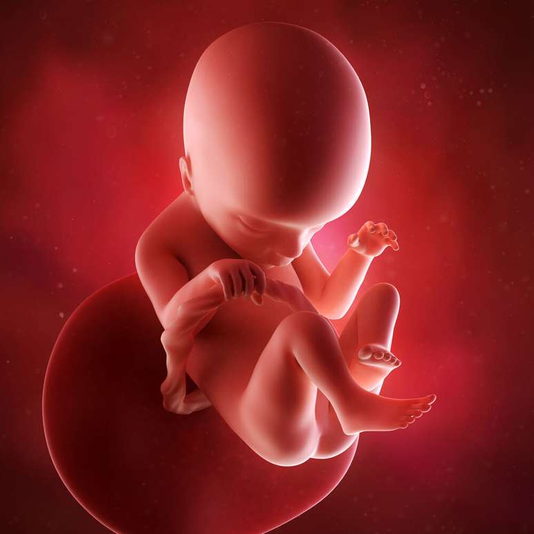 Seu bebê com 18 semanas de gravidez (Foto: Shutterstock)
