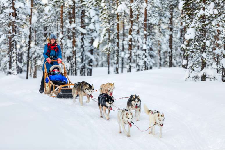 O passeio em um tren&oacute; com huskies &eacute; imperd&iacute;vel 