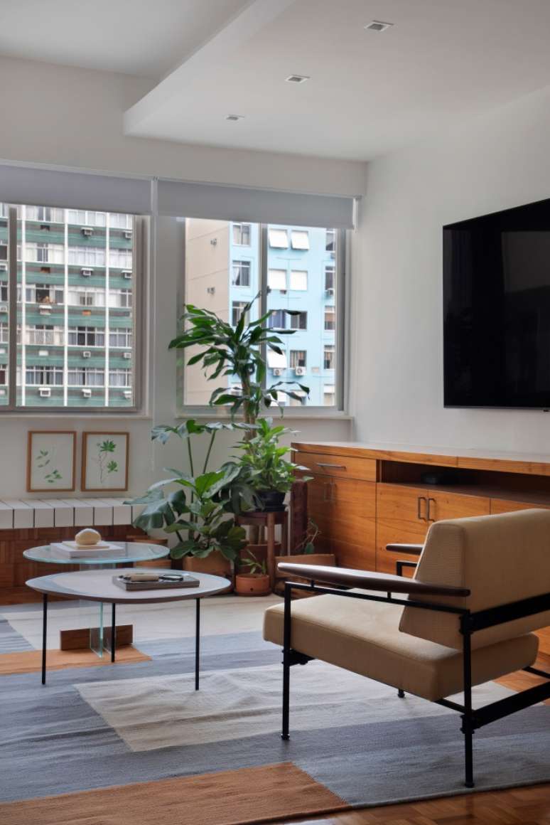 Sala de estar; poltrona; tapete; mesa de centro; rack; tv; banco; plantas