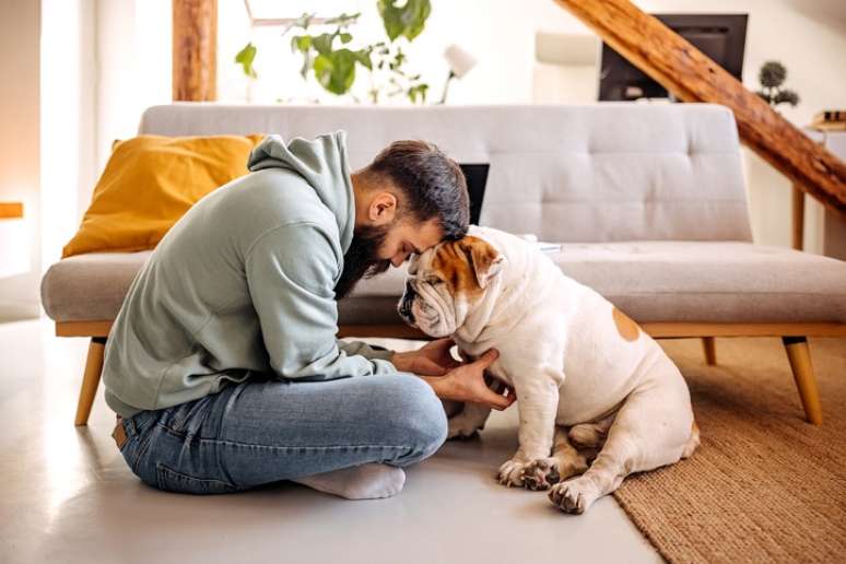 Conexão entre tutor e pet traz benefícios para ambos