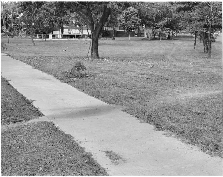 Na quadra residencial 110 norte, caminho alternativo cruza o trajeto 'oficial'