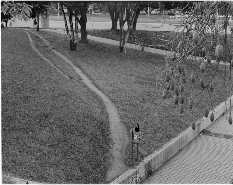 Na 207 sul, caminho org&acirc;nico que leva &agrave; parada de &ocirc;nibus representa uma dist&acirc;ncia menor que o trajeto cal&ccedil;ado