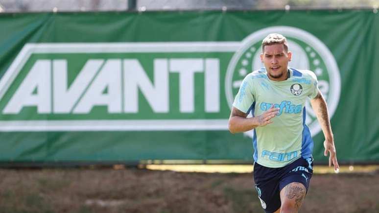 Navarro ainda não se firmou no Verdão (Foto: Cesar Greco/Palmeiras)