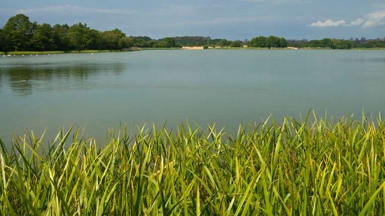 No s&eacute;culo 14, os peixes de &aacute;gua doce eram muito valiosos e uma parte importante das festas natalinas
