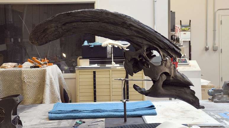 Os pesquisadores acreditam que o Parasaurolophus tubicen fosse capaz de emitir sons altos e imponentes