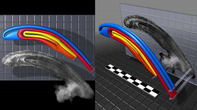 Cientistas conseguiram reconstruir digitalmente os tubos da crista do P. tubicen, para ajudar a descobrir quais sons ele poderia emitir