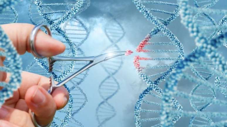 Manipula&ccedil;&atilde;o gen&eacute;tica deve avan&ccedil;ar significamente em 2023