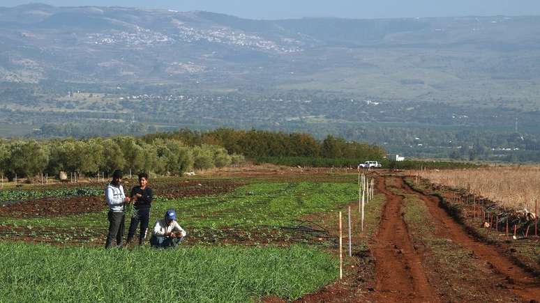 Os agricultores da regi&atilde;o est&atilde;o desesperados para que as minas sejam desativadas, o que ir&aacute; permitir que eles cultivem a terra, reduzindo a falta de alimentos