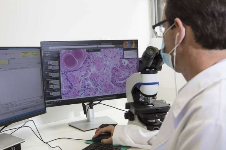 Divulga&ccedil;&atilde;o