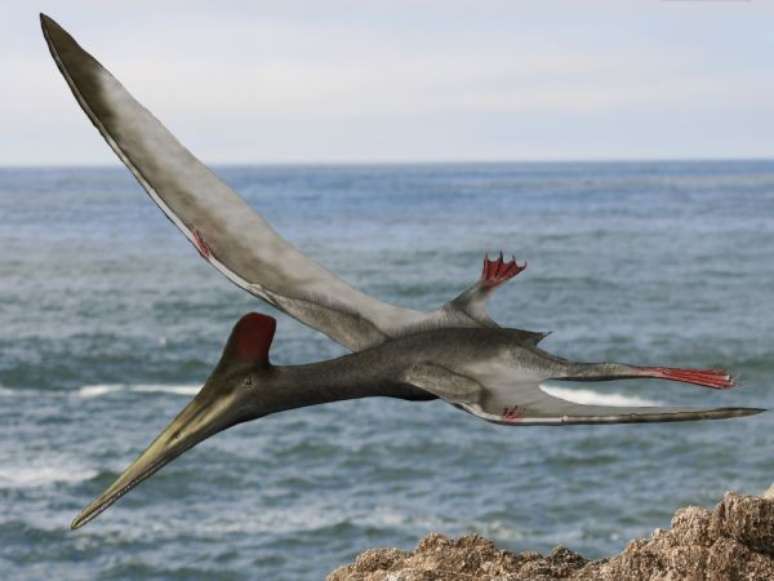 Pterossauros foram a espécie dominante de dinossauros voadores que possuíam de um até 12 metros de comprimento