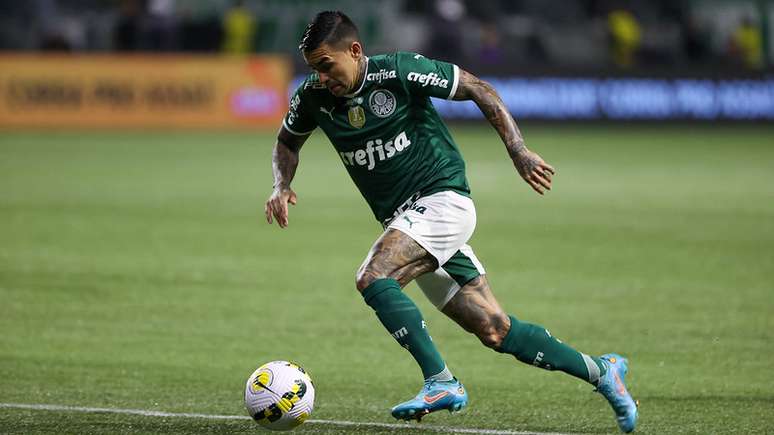 Dudu (Palmeiras) - Perfil de jogador