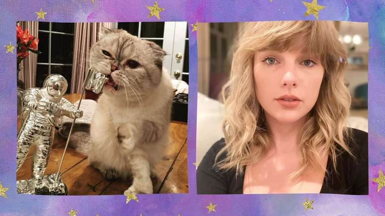 Meredith, Olivia e Benjamin: qual gato da Taylor Swift você seria? Faça o  quiz! - Purebreak