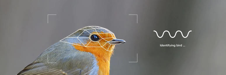 Segundo um comunicado de imprensa da Bird Buddy, o alimentador usará inteligência artificial (IA) para determinar de que espécie é o beija-flor