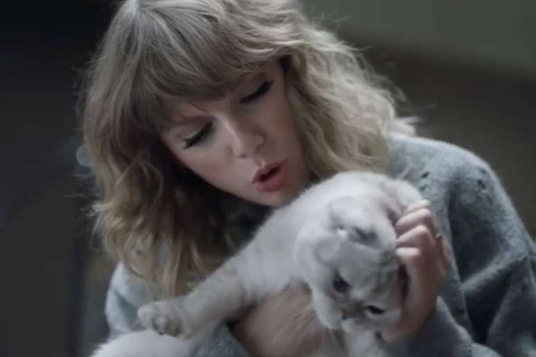 Taylor Swift com a gata, Olivia