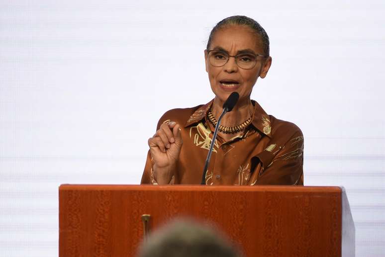 Marina Silva durante cerimônia de posse no Ministério do Meio Ambiente