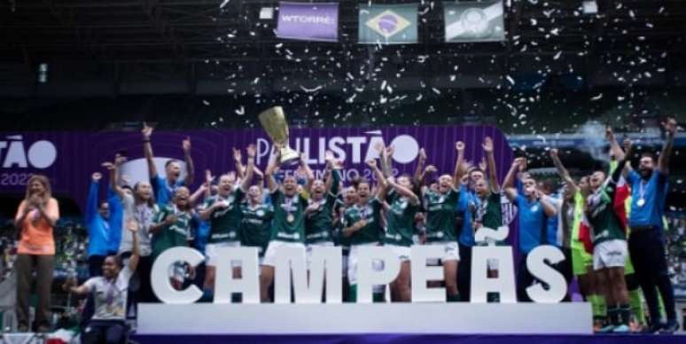 Palmeiras também foi campeão paulista (Foto: Leo Sguaçabia/Ag. Paulistão)