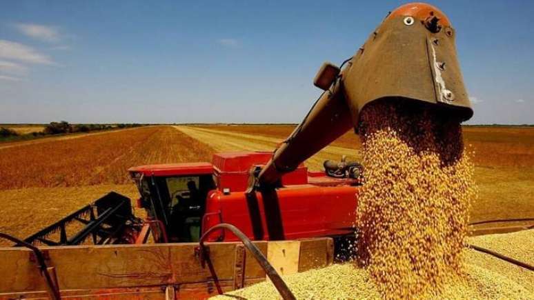 Um dos objetivos da Conab &eacute; tornar a agricultura familiar fornecedora do PNAE.