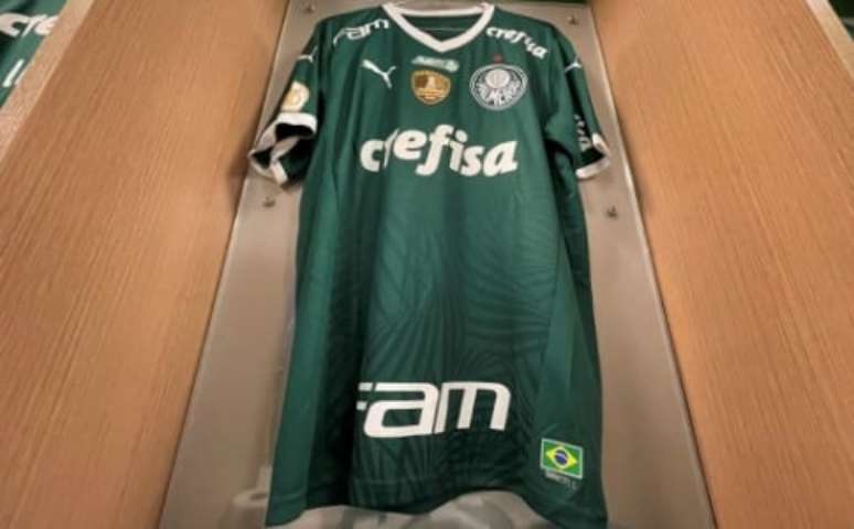 Palmeiras e Puma tiveram relação tumultuada (Foto: Divulgação/Palmeiras)