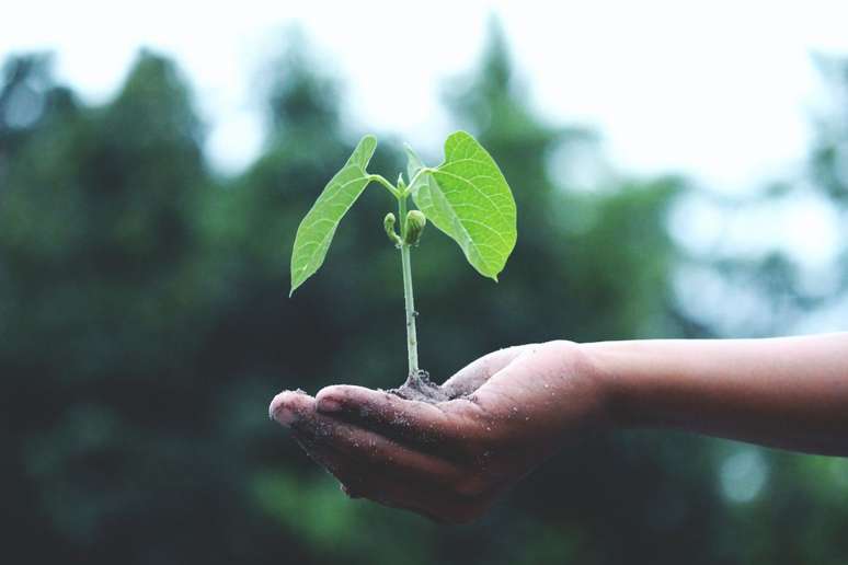 Responsabilidade ambiental.