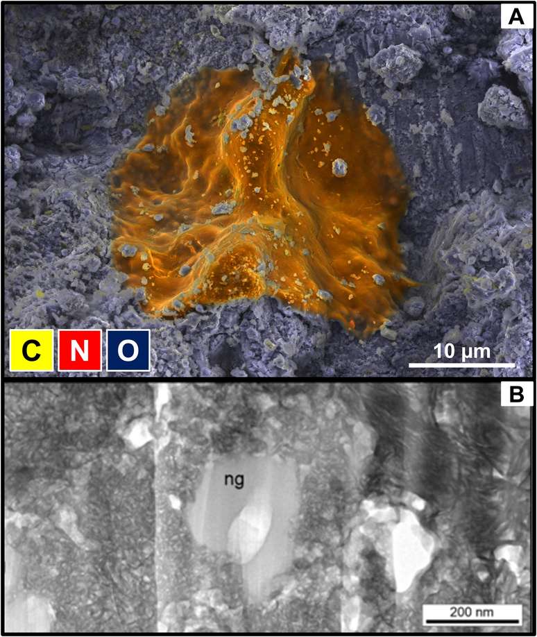 Partes do meteorito ricas em carbono e nitrogênio 