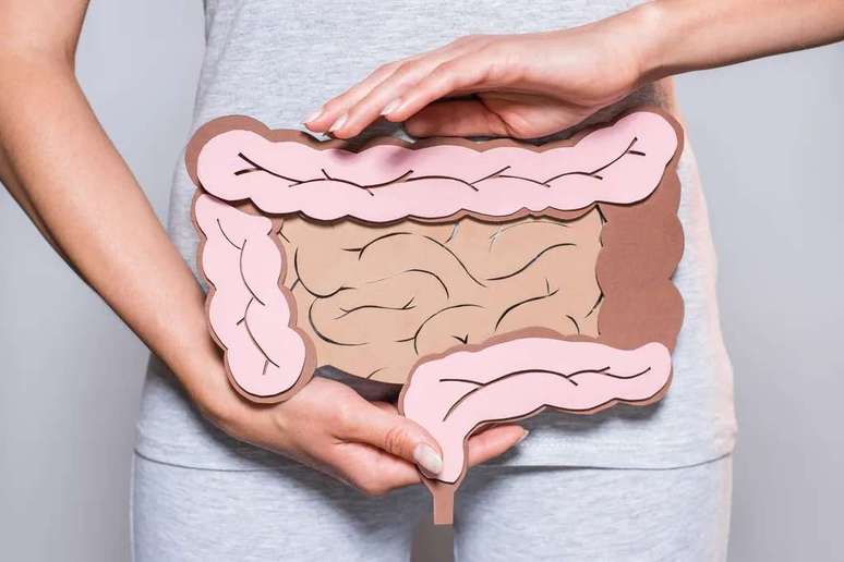 Menor diversidade bacteriana está associada à síndrome do intestino irritável