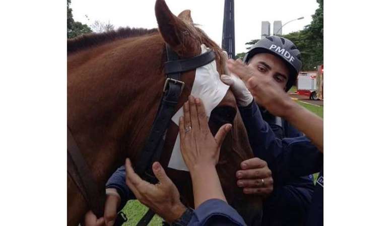 Momento em que 'Drácula' recebeu um curativo, após ser agredido na Praça dos Três Poderes